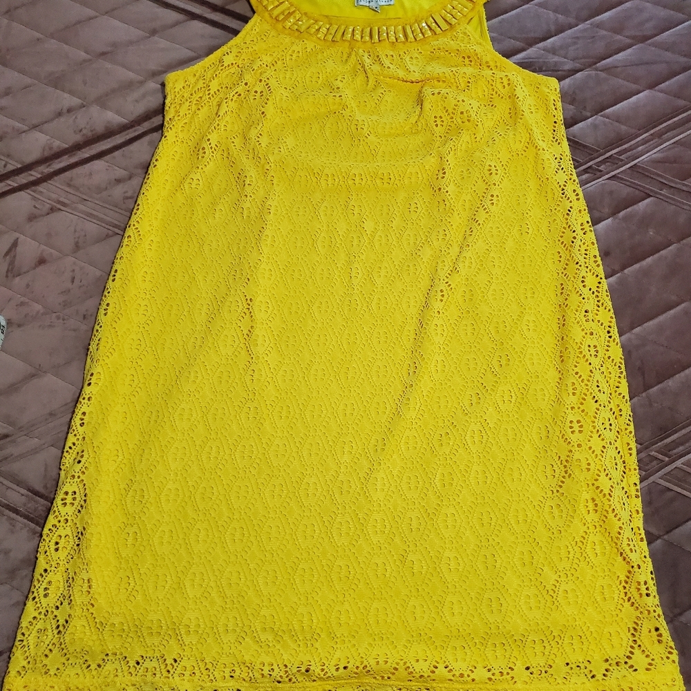 Sandra Darren 16W dress